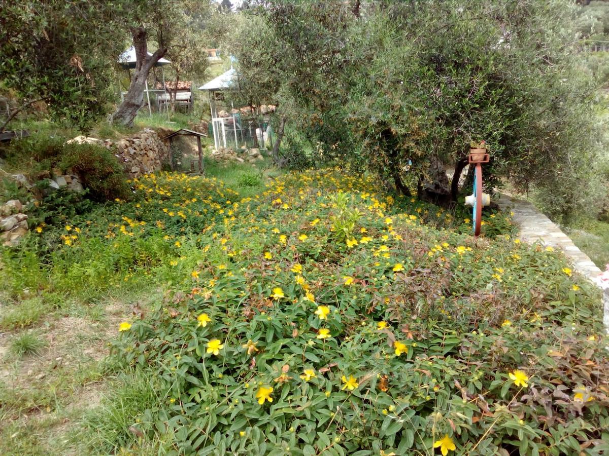 Villa Imperia Buitenkant foto